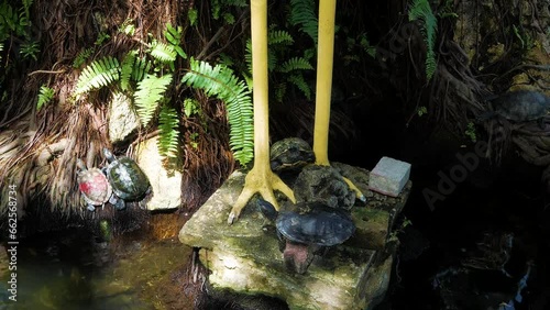 Light breaking through the trees highlight a group of turtles. Religious symbols photo