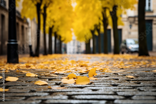 Sidewalk block after rain with ginkgo leaves falling.