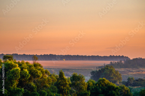 A Splendid Sunrise over a Serene Field of Wildflowers and a Lone Coniferous Tree. Fog over the forest . Green trees in forest . Summer landscape . Summer morning in the field 