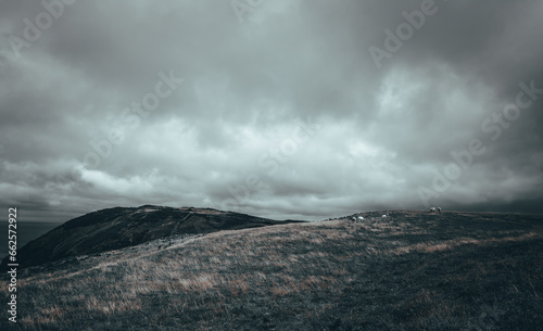 Fotografia Owce na wzgórzu w Irlandii