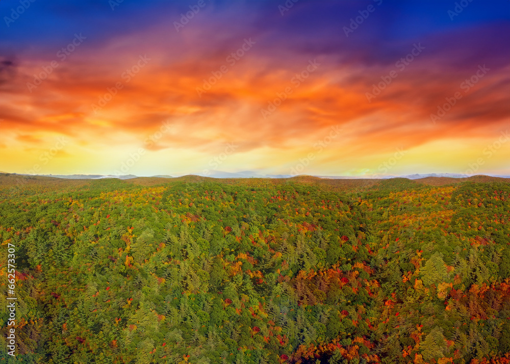 Aerial panoramic view of New England foliage forest at sunset