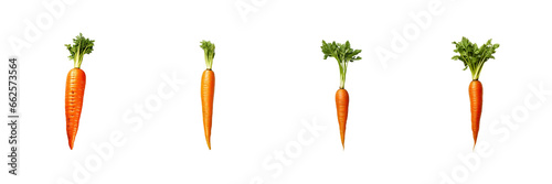 Set of Single Carrot cut out isolated on transparent or white background