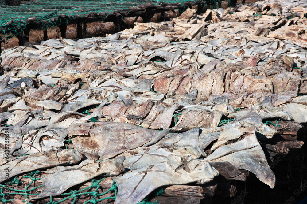 Dry fish in the village on Casamance river, Ziguinchor Region, Senegal, West Africa Dry fish in the village on Casamance river, Ziguinchor Region, Senegal, West Africa