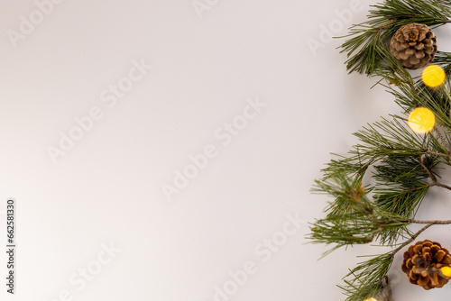 Christmas fir tree branches with copy space on white background