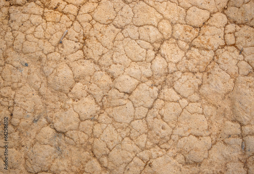 A close-up with dry soil due to the drought