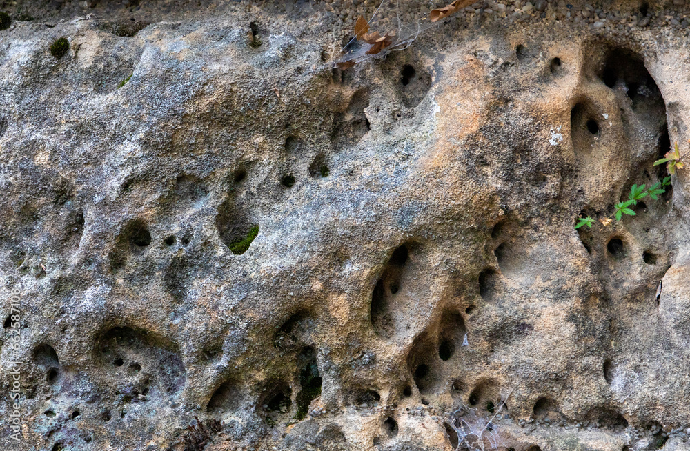 A close-up of an eroded cliff. Holes in a stone made by water erosion A close-up of an eroded cliff. Holes in a stone made by water erosion