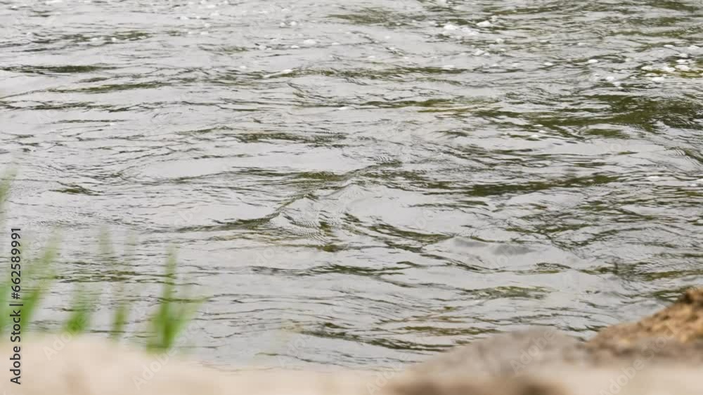 Water surface of a river flow close up in a natural reserve Water surface of a river flow close up in a natural reserve