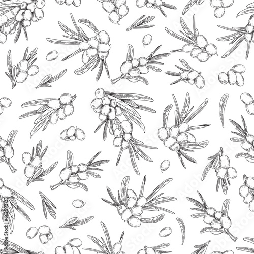 Sea buckthorn berries and leaves engraving seamless pattern.