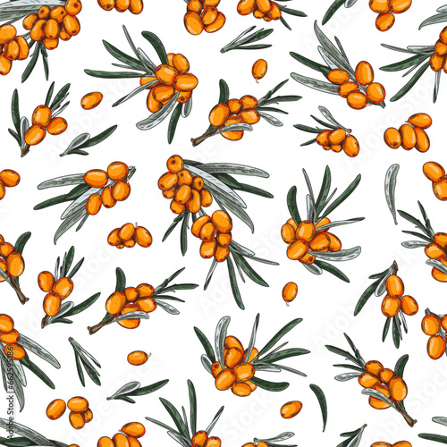 Sea-buckthorn berries seamless repeatable pattern sketch vector illustration.