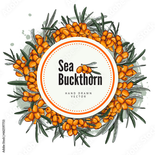 Sea-buckthorn berries food label or packaging sticker sketch vector illustration.