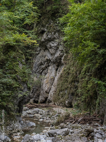 Image from Cheile Oltetului gorge, Polovragi, Gorj, Romania photo