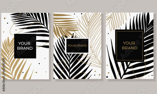 Tropical cover design set. Floral beauty background with exotic leaf. Elegant vector template for wedding invite, brochure layout, spa leaflet, cosmetics backdrop.