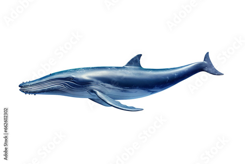 Huge Blue Whale Emerging from the Deep Sea Isolated on Transparent Background