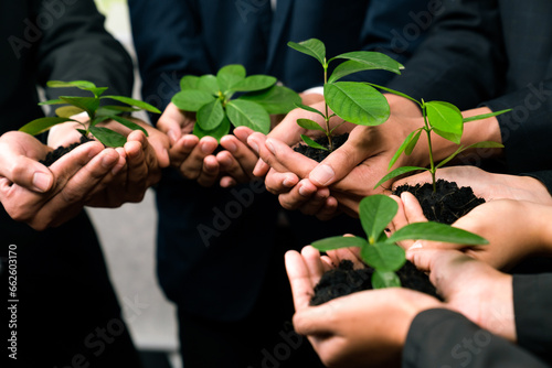 Eco-friendly investment on reforestation by group of business people holding plant together in office promoting CO2 reduction and natural preservation to save Earth with sustainable future. Quaint © Summit Art Creations