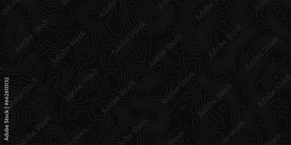Topographic relief lines architectural interior background wall texture pattern seamless .abstract light contours on black backdrop Imitation of white lines on black background. - obrazy, fototapety, plakaty 