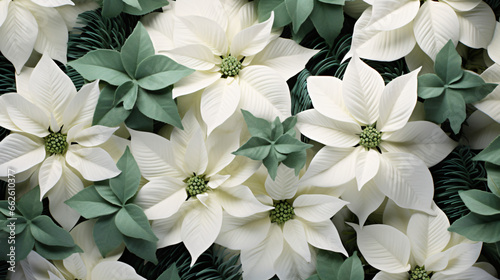 Christmas white green flowers background