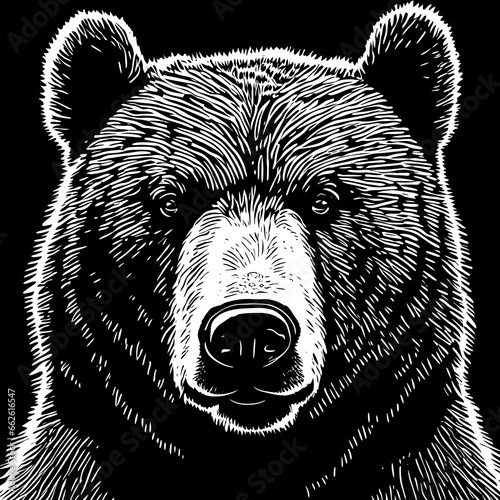 bear logo