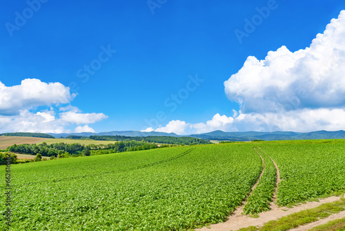 夏の北海道美瑛・富良野