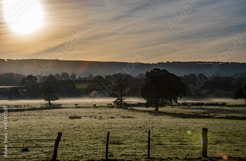 Sunrise and early morning mist over fields Beautiful countryside view of a glorious sunrise over grassy rural landscape in Devon UK. Cattle grazing in the distance.