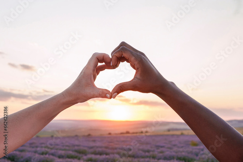 Hands of women showing heart sign in lavender field photo