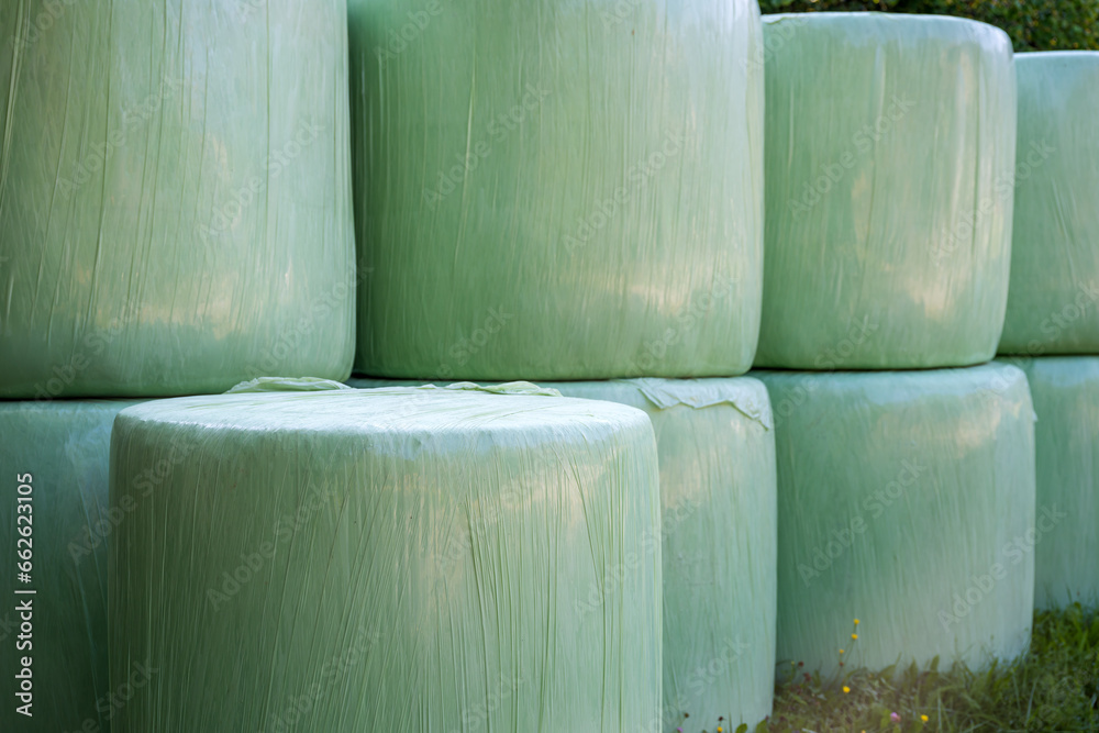 Cut grass gathered and rolled in plastic wrapping bales as animal fodder on agricultural farm Cut grass gathered and rolled in plastic wrapping bales as animal fodder on agricultural farm