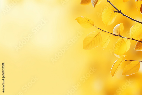 Lemon yellow autumn background