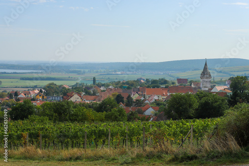 Vineyard with beautiful historical classical architecture of south moravian region in Czechia. Wine making in Pavlov near Pálava hill.