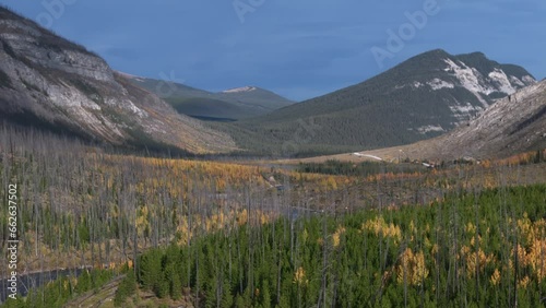 The Red Deer River flows out of the Rocky Mountains meandering through a forest of evergreen and deciduous trees during autumn making a beautiful shot. photo