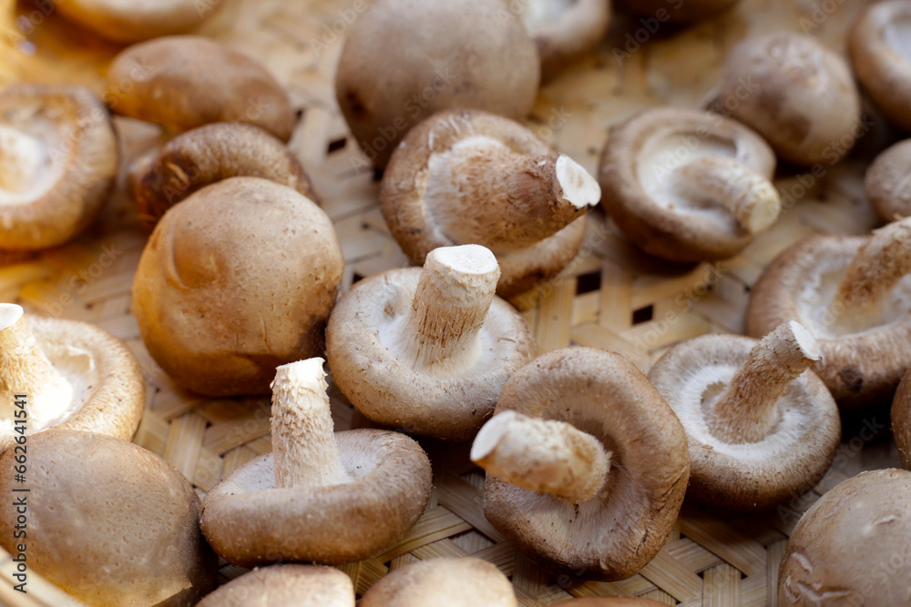 Fresh shiitake mushrooms in bamboo weave plate Fresh shiitake mushrooms in bamboo weave plate