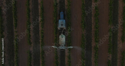 Drone View of Tractor Spreading in Vineyard at Dusk photo