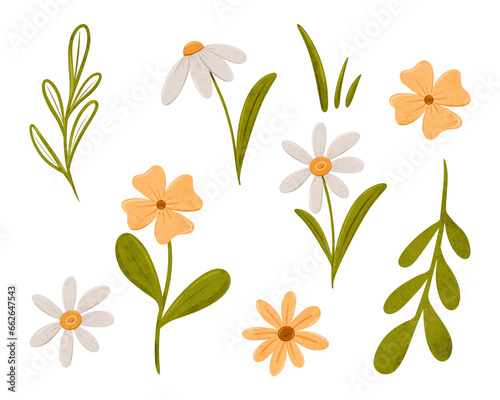 Set of pretty simple daisy flowers. Coupon with Chamomile in scandinavian style. Stylized tiny flowers, digital illustration for cards, invitations, decorations
