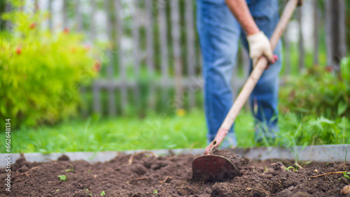 Farmer cultivating land in the garden with hand tools. Soil loosening. Gardening concept. Agricultural work on the plantation
