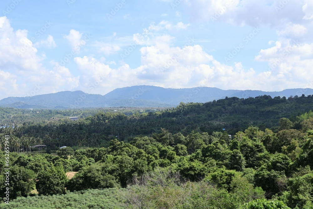 Naklejka premium landscape of the mountains