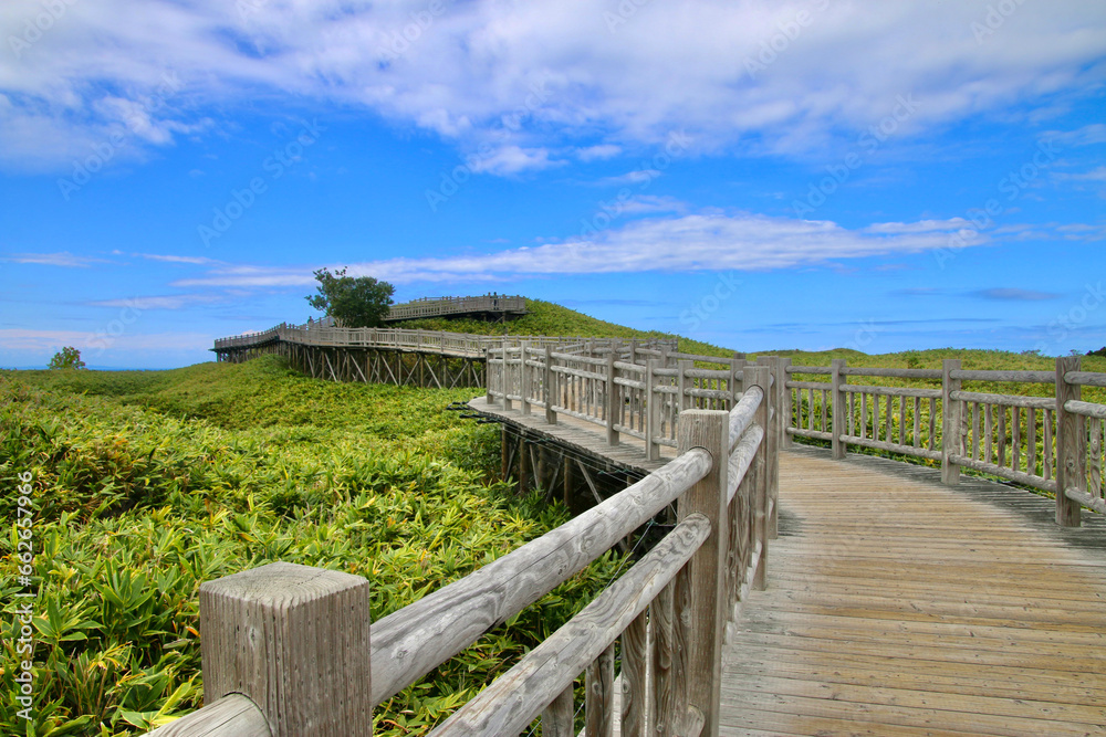 知床五湖・一湖・木道（北海道・斜里町）