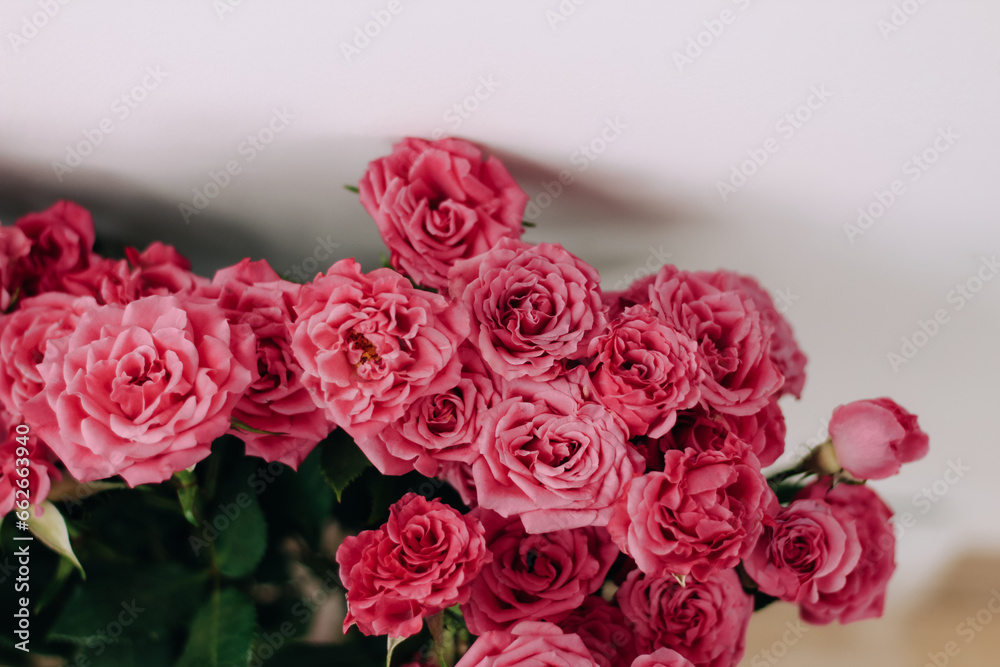 Small pink bush roses on a white background with a place for text Small pink bush roses on a white background with a place for text