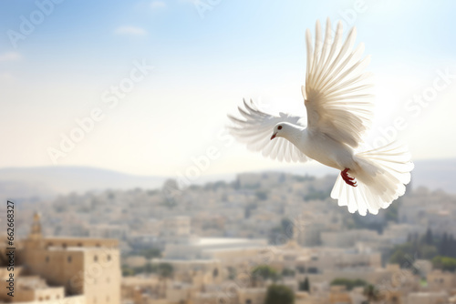 A white peace dove flying against a blue sky above a middle east city photo