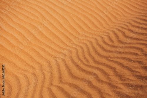 Fototapeta Naklejka Na Ścianę i Meble -  sand background