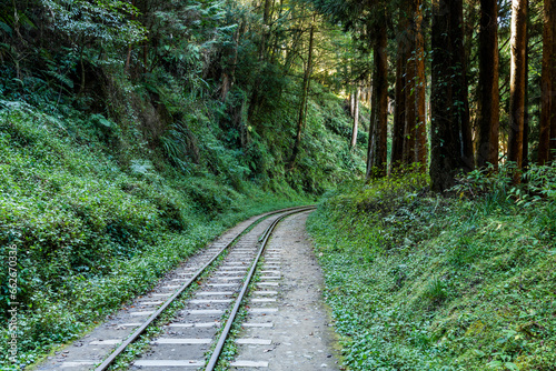 The old forest railway section of the Shuishan Trail at Alishan Forest Recreation Area in Chiayi, Taiwan. Now obsolete and unable to operate.
