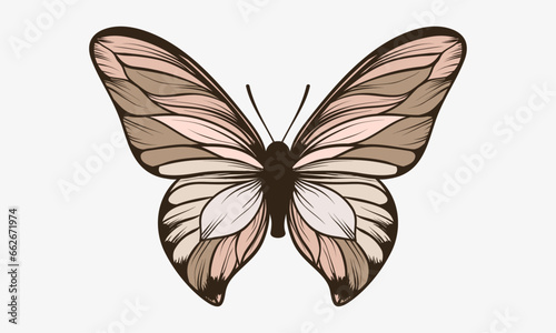 Butterfly design vector illustration. Decorative design elements. Suitable for printing on stationery, mugs, t-shirts, pillows, phone cases. Magnificent exotic spring butterfly.