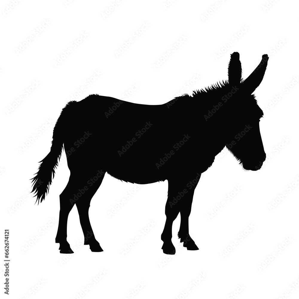 Obraz premium A Donkey Silhouette on White