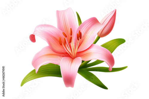 Lily Flower 3D isolated on transparent background, Generative Ai