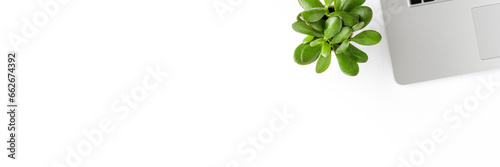 Office desktop with laptop, small green plant and copyspace. Business background © One Pixel Studio