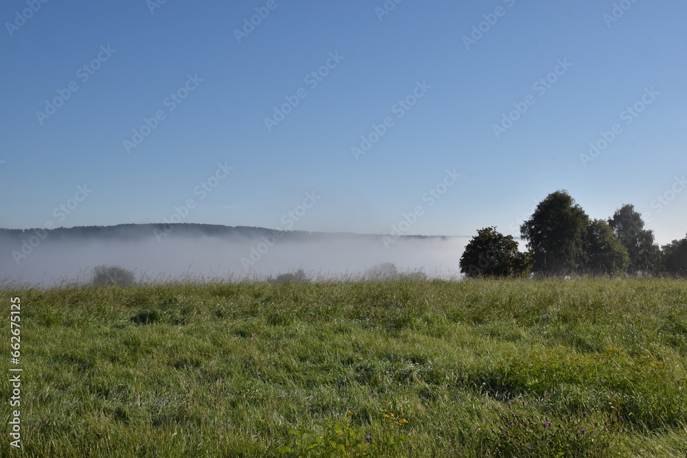 Morgennebel über den Wiesen in Bad Zwesten Morgennebel über den Wiesen in Bad Zwesten
