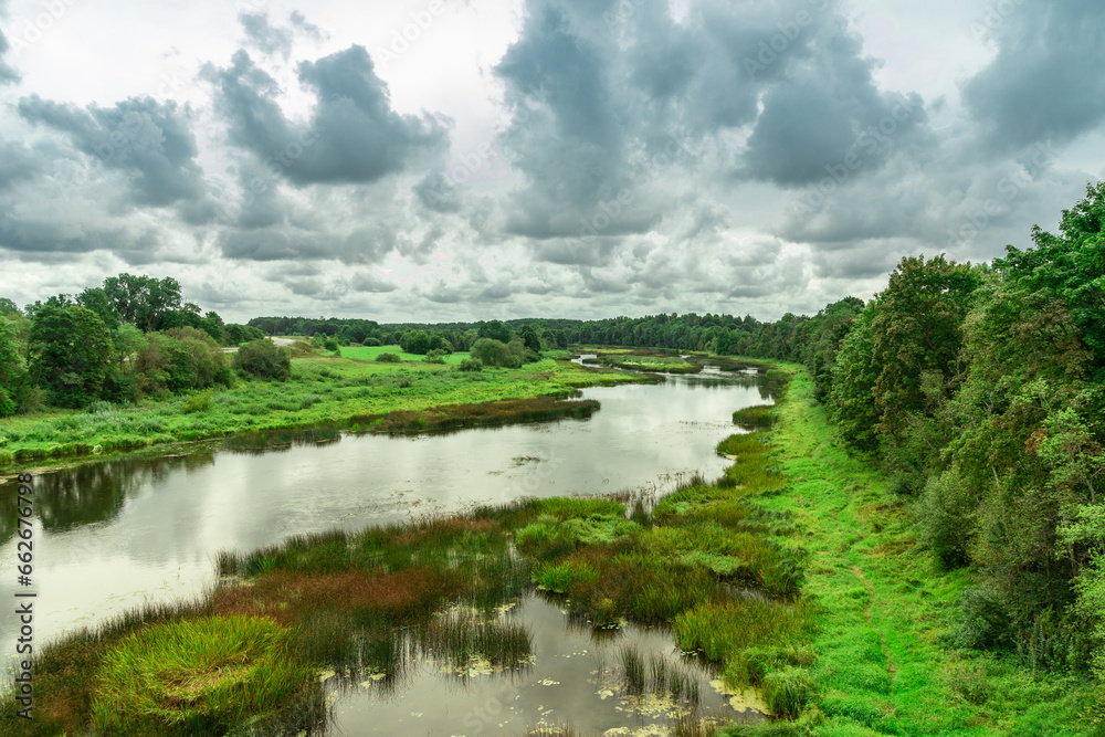 Rural landscape with river, reeds, forest and blue cloudy sky