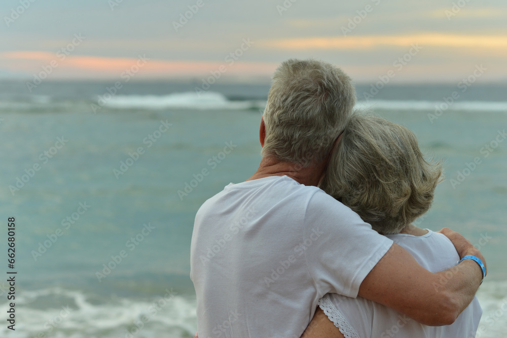 silhouette rear view of asian elderly couple standing on the beach and chatting happily in sunrise