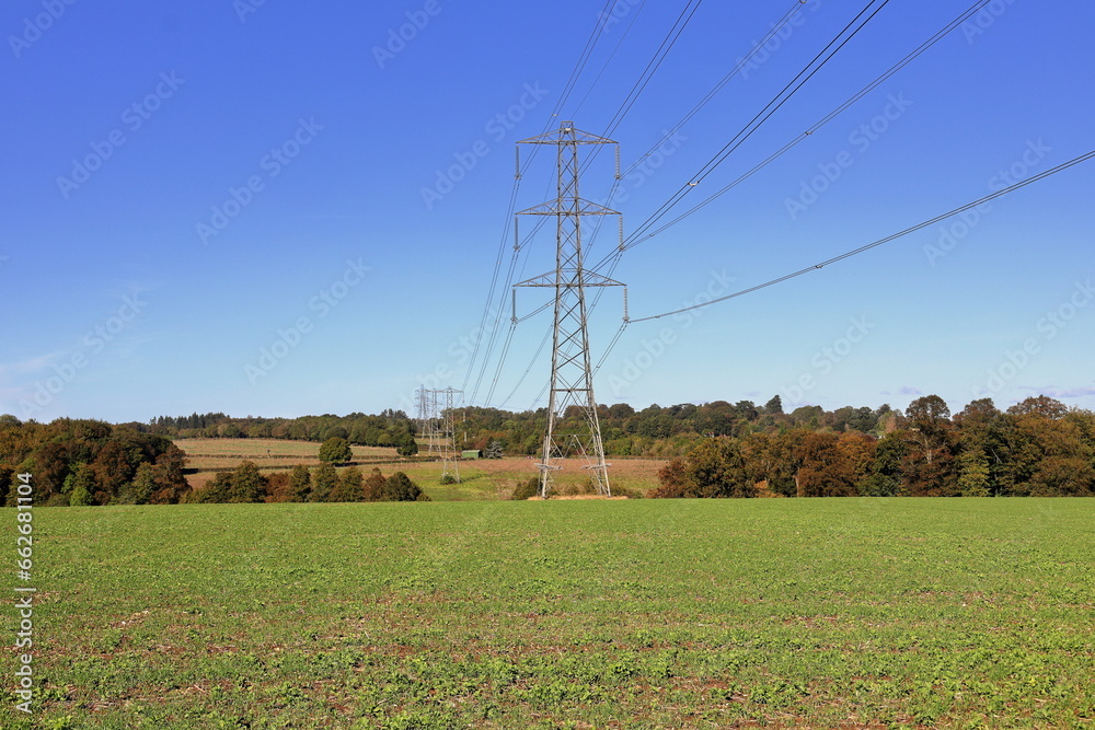 Electiricty Pylons in an English Landscape