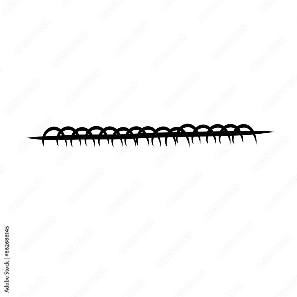 hand drawn border divider hand drawn border divider