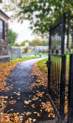 autumn in the park