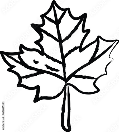 Cannabis hand drawn vector illustration