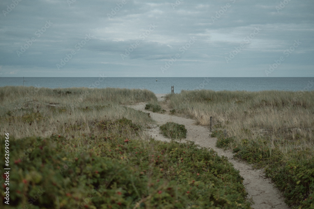 dunes and sea dunes and sea